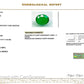 Natural Emerald (Panna) 11.63 CT – Certified Premium Gemstone