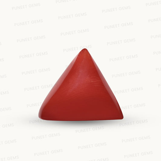 Natural Triangle Coral – The Gem of Strength, Vitality & Protection 6.00 CT