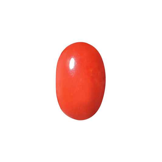 Natural Red Coral (Moonga) – Italy Origin – Certified & Untreated Gemstone for Mars Energy 6.08 CT