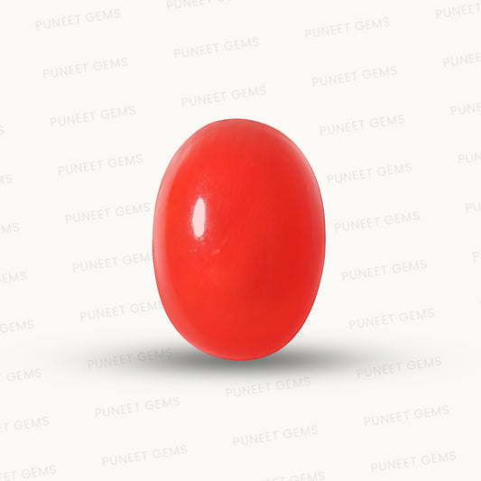 Red Coral Japanese – Natural Moonga for Strength 6.10 CT
