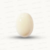 Natural White Coral Gemstone – The Gem of Strength, Vitality & Protection 6.12 CT