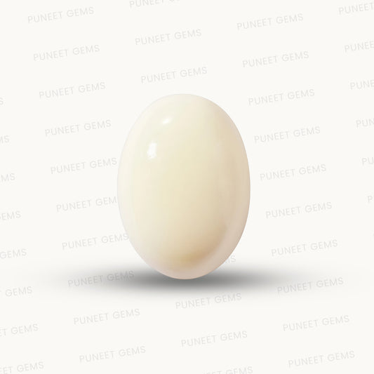 Natural White Coral Gemstone – The Gem of Strength, Vitality & Protection 6.12 CT