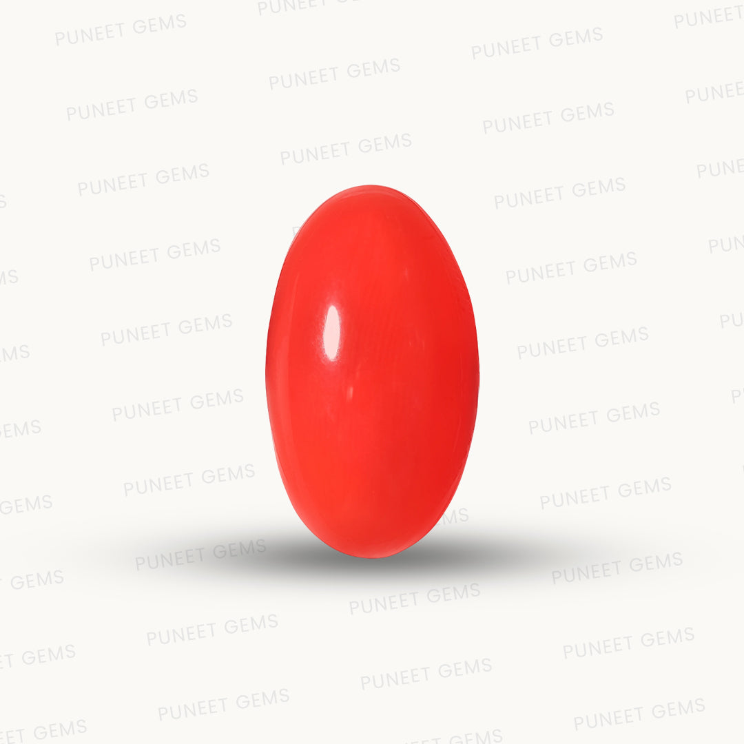 Red Coral Japanese – Natural Moonga for Strength 6.14 CT