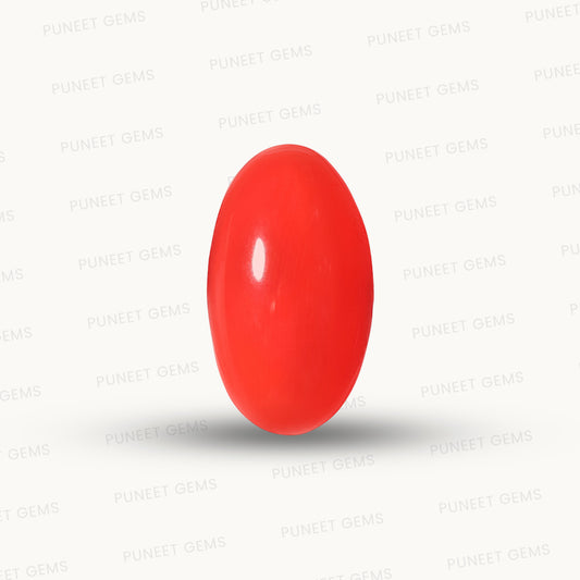 Red Coral Japanese – Natural Moonga for Strength 6.14 CT