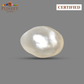 Basra Real Pearl 6.27 Ct – Certified Gemstone