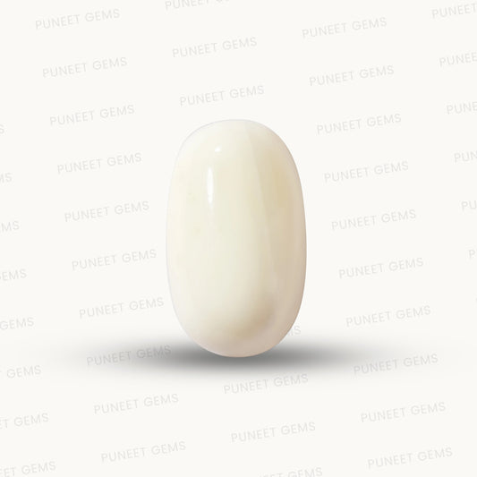 Natural White Coral Gemstone – The Gem of Strength, Vitality & Protection 6.31 CT