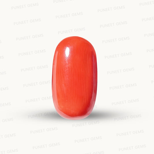 Natural Red Coral (Moonga) – Italy Origin – Certified & Untreated Gemstone for Mars Energy 6.40 CT