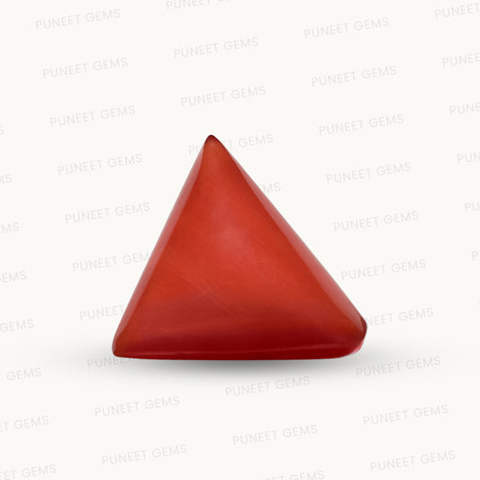 Natural Triangle Coral – The Gem of Strength, Vitality & Protection 6.44 CT