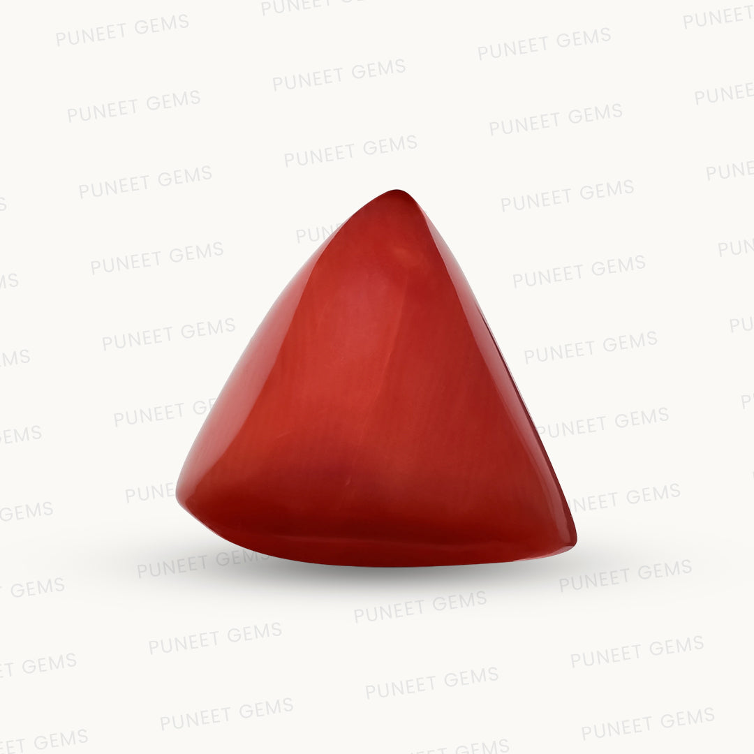 Natural Triangle Coral – The Gem of Strength, Vitality & Protection 6.49 CT