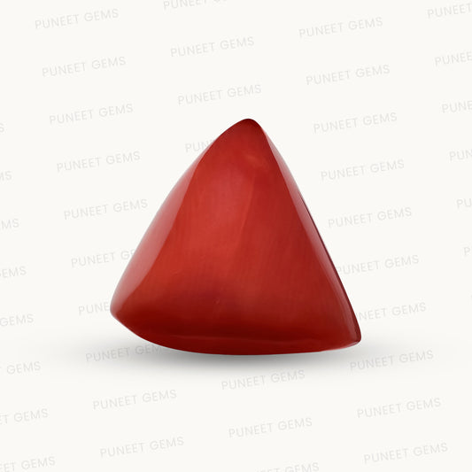 Natural Triangle Coral – The Gem of Strength, Vitality & Protection 6.49 CT