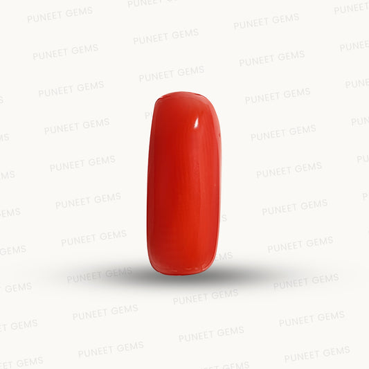 Natural Coral Gemstone – The Gem of Strength, Vitality & Protection 6.49 CT