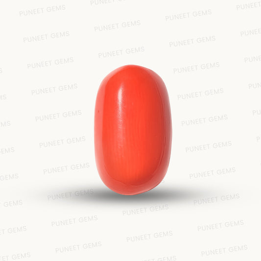 Natural Coral Gemstone – The Gem of Strength, Vitality & Protection 6.59 CT