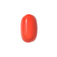 Natural Coral Gemstone – The Gem of Strength, Vitality & Protection 6.59 CT