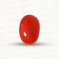 Natural Coral Gemstone – The Gem of Strength, Vitality & Protection 6.60 CT