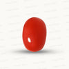 Natural Coral Gemstone – The Gem of Strength, Vitality & Protection 6.60 CT