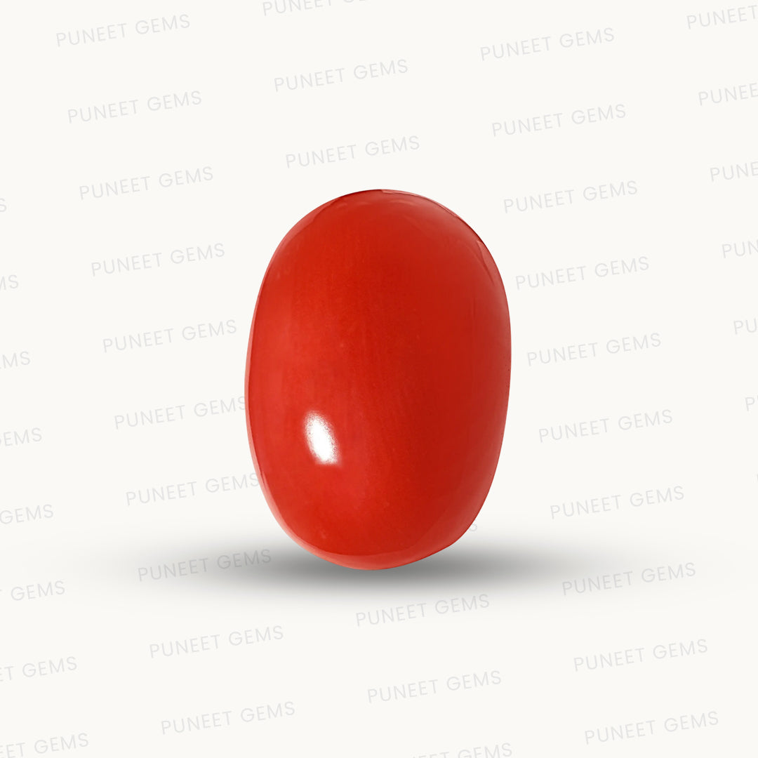 Natural Coral Gemstone – The Gem of Strength, Vitality & Protection 6.60 CT