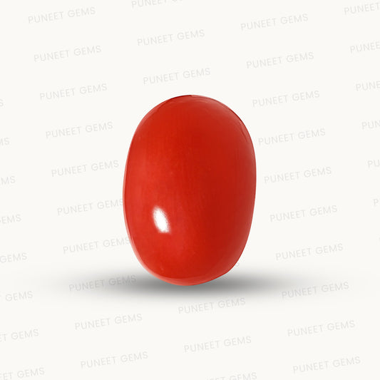 Natural Coral Gemstone – The Gem of Strength, Vitality & Protection 6.60 CT