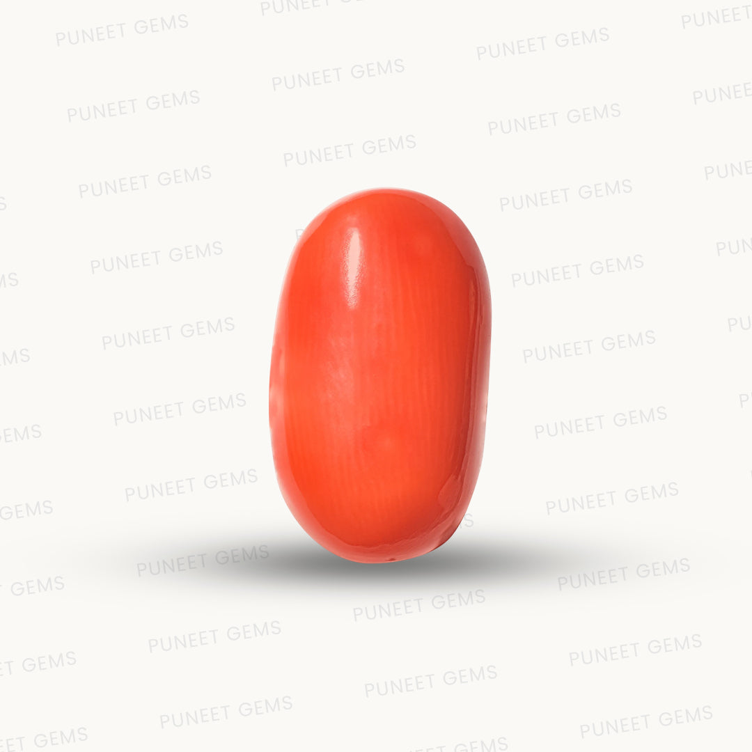 Natural Coral Gemstone – The Gem of Strength, Vitality & Protection 6.61 CT