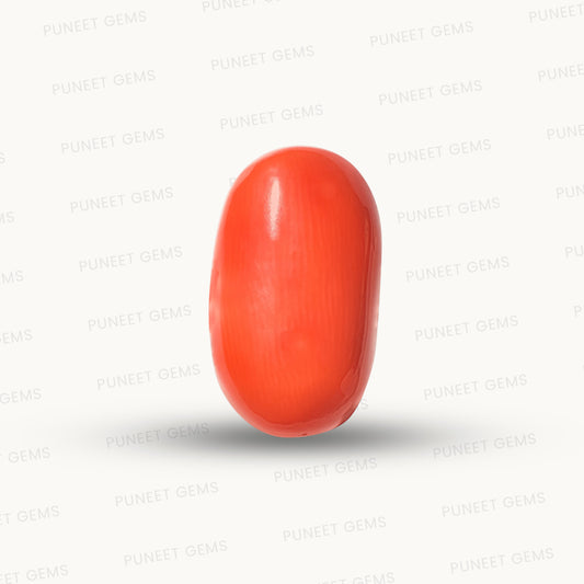 Natural Coral Gemstone – The Gem of Strength, Vitality & Protection 6.61 CT