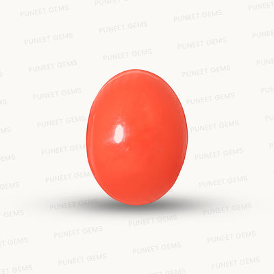 Red Coral