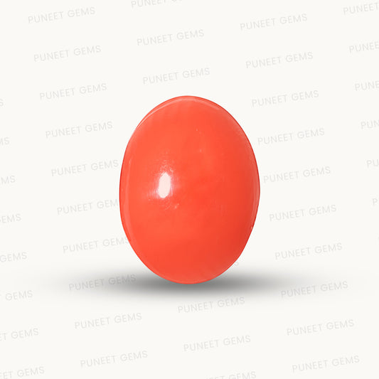 Red Coral Japanese – Natural Moonga for Strength 6.63 CT
