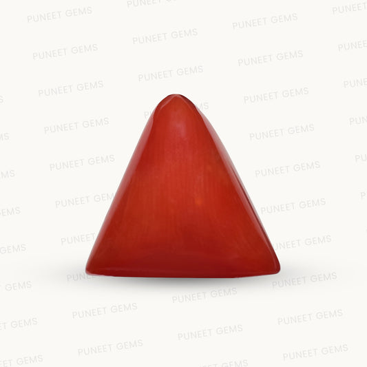 Natural Triangle Coral – The Gem of Strength, Vitality & Protection 6.72 CT
