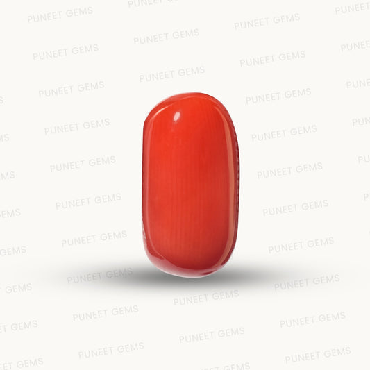 Natural Coral Gemstone – The Gem of Strength, Vitality & Protection 6.81 CT