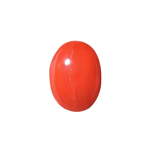 Natural Red Coral (Moonga) – Italy Origin – Certified & Untreated Gemstone for Mars Energy 6.83 CT