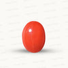 Natural Red Coral (Moonga) – Italy Origin – Certified & Untreated Gemstone for Mars Energy 6.82 CT