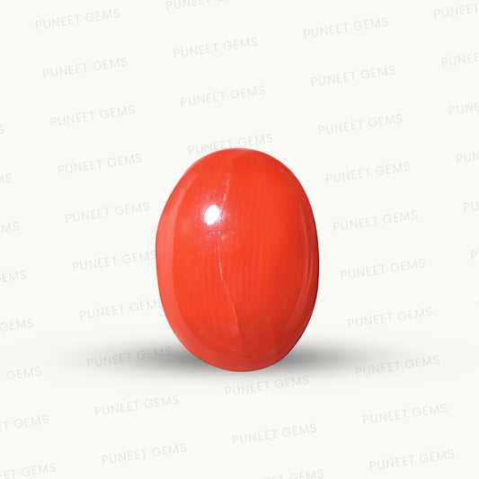 Natural Red Coral (Moonga) – Italy Origin – Certified & Untreated Gemstone for Mars Energy 6.83 CT