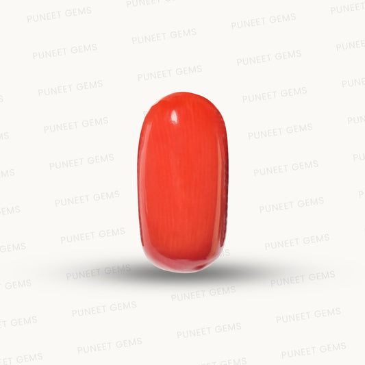 Natural Coral Gemstone – The Gem of Strength, Vitality & Protection 6.91 CT