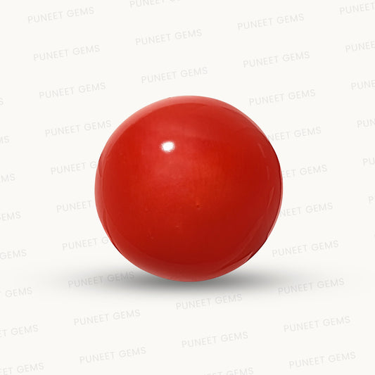 Natural Round Coral – The Gem of Strength, Vitality Protection 6.93 CT