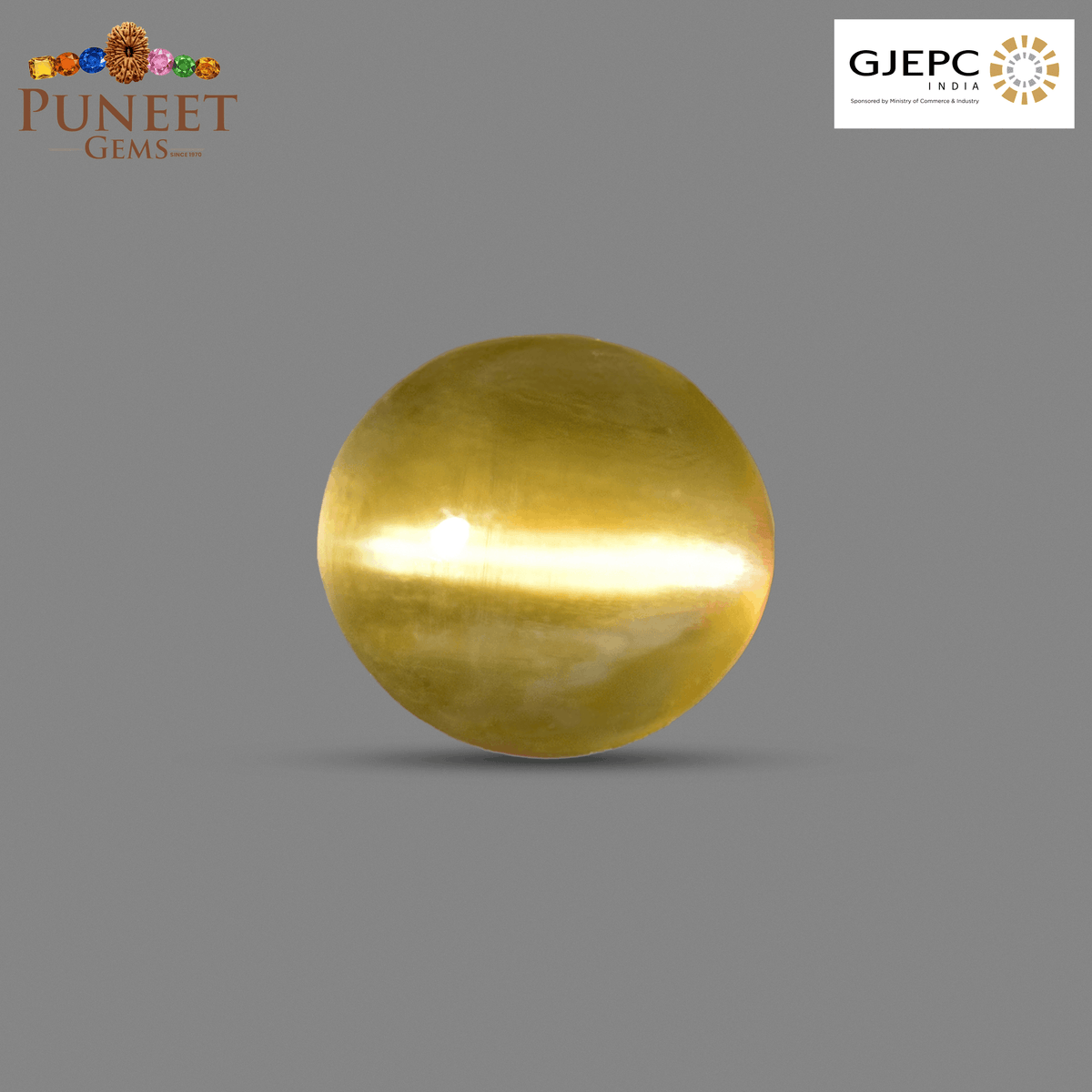Natural Cat's Eye (Lehsunia) 1.73 Ct – Certified Premium Gemstone