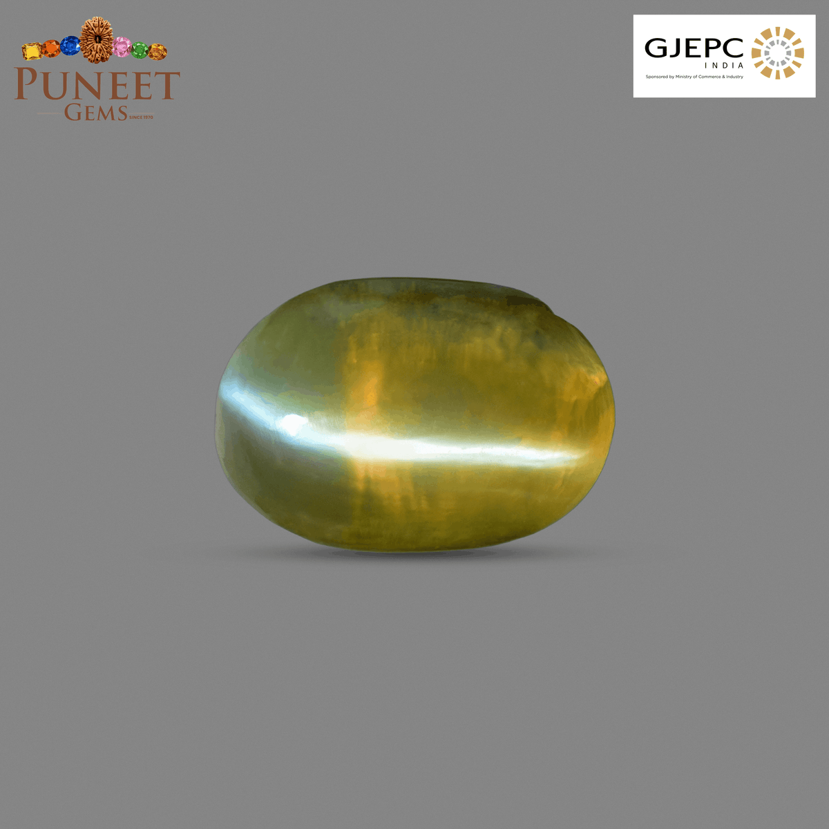Natural Cat's Eye (Lehsunia) 2.89 Ct – Certified Premium Gemstone