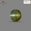 Natural Cat's Eye (Lehsunia) 3.39 Ct – Certified Premium Gemstone
