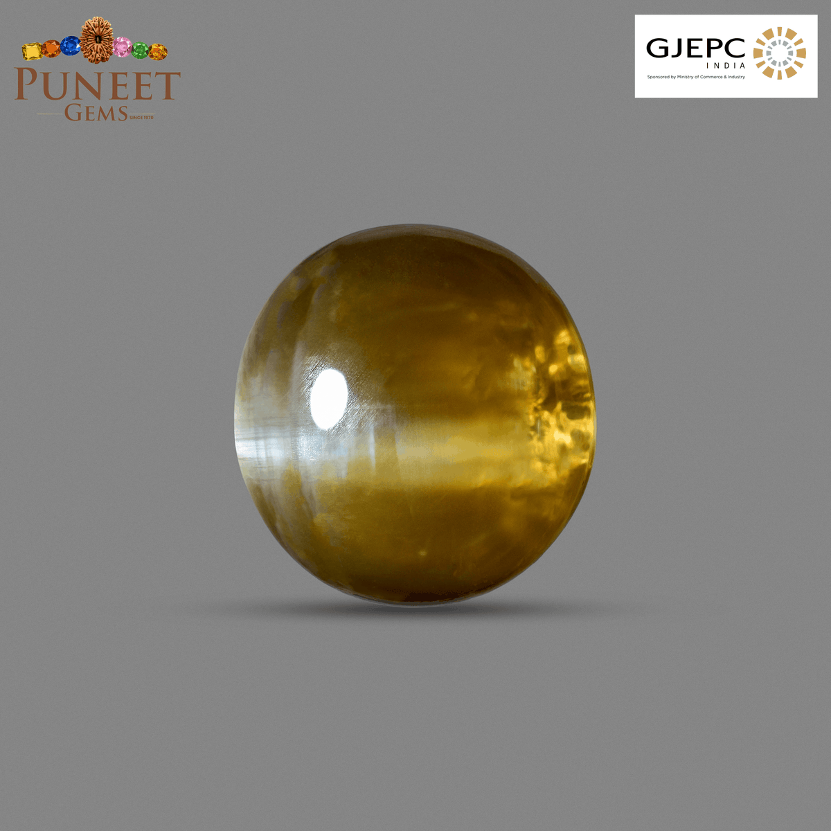 Natural Cat's Eye (Lehsunia) 11.52 Ct – Certified Premium Gemstone