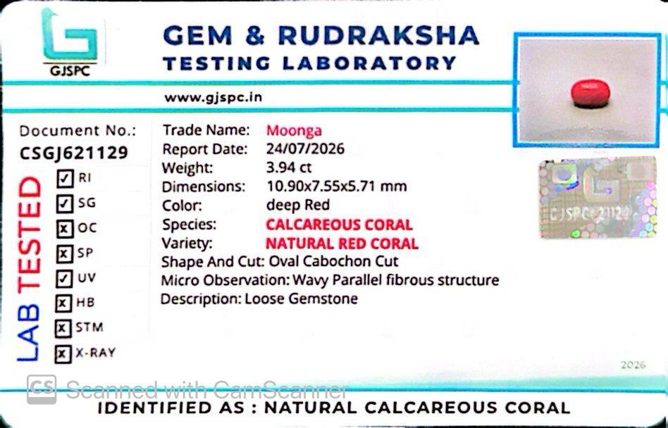 Natural Red Coral (Moonga) – Italy Origin – Certified & Untreated Gemstone for Mars Energy 3.94 CT