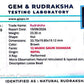 Nepali 12 Mukhi Gauri Shankar Rudraksha