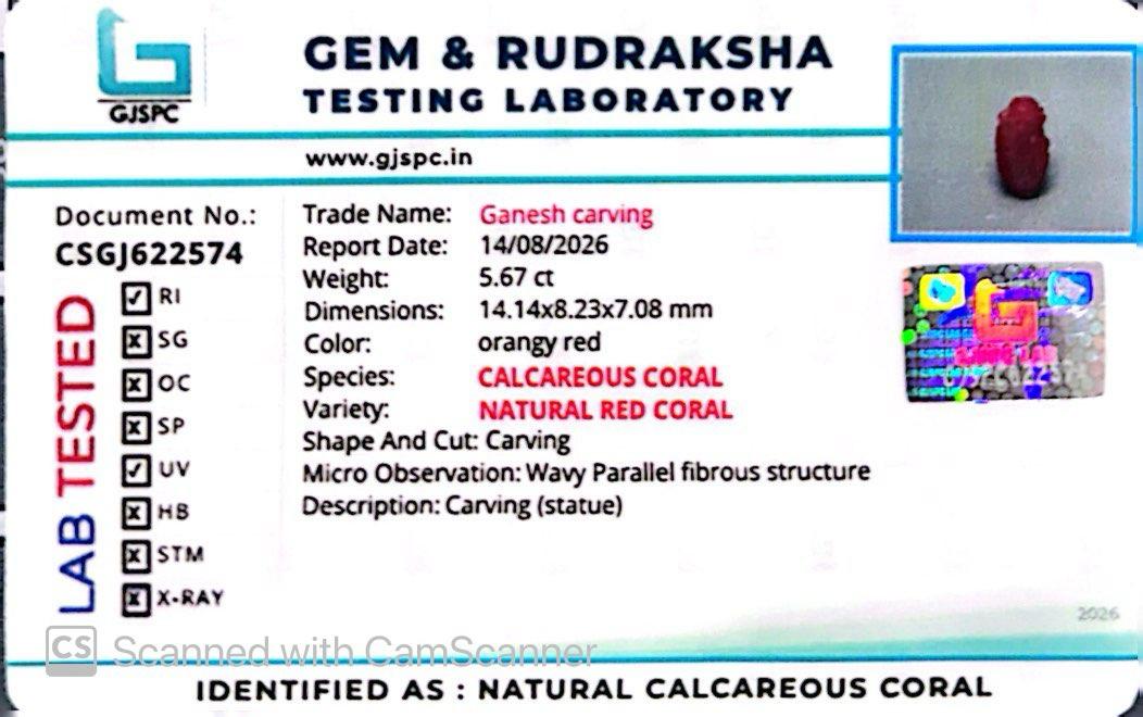 Coral Ganesh 5.67 CT – Certified Gemstone