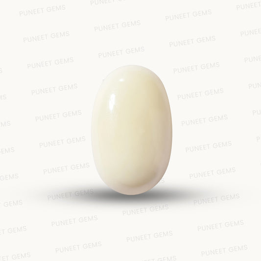 Natural White Coral Gemstone – The Gem of Strength, Vitality & Protection 7.03 CT