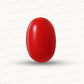 Red Coral Japanese – Natural Moonga for Strength 7.04 CT