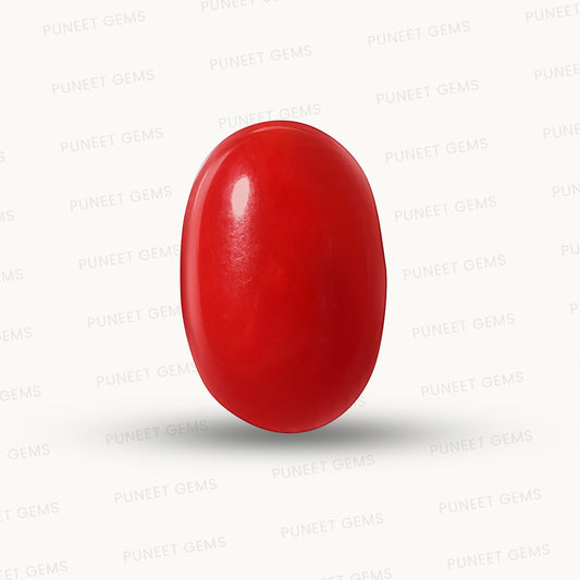 Red Coral Japanese – Natural Moonga for Strength 7.04 CT