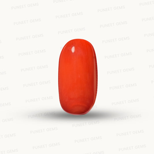 Natural Coral Gemstone – The Gem of Strength, Vitality & Protection 7.14 CT
