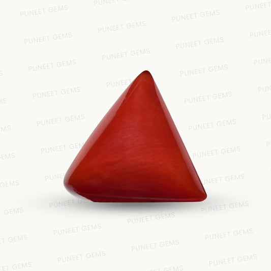 Natural Triangle Coral – The Gem of Strength, Vitality & Protection 7.18 CT