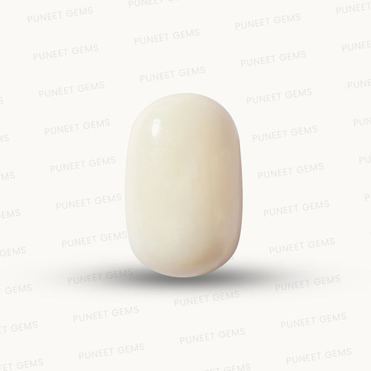 Natural White Coral Gemstone – The Gem of Strength, Vitality & Protection 7.20 CT