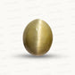Indian Cat’s Eye Gemstone (Lehsunia) – Protection, Intuition & Ketu’s Power 7.45 CT