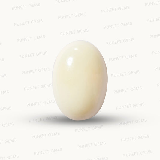 Natural White Coral Gemstone – The Gem of Strength, Vitality & Protection 7.49 CT