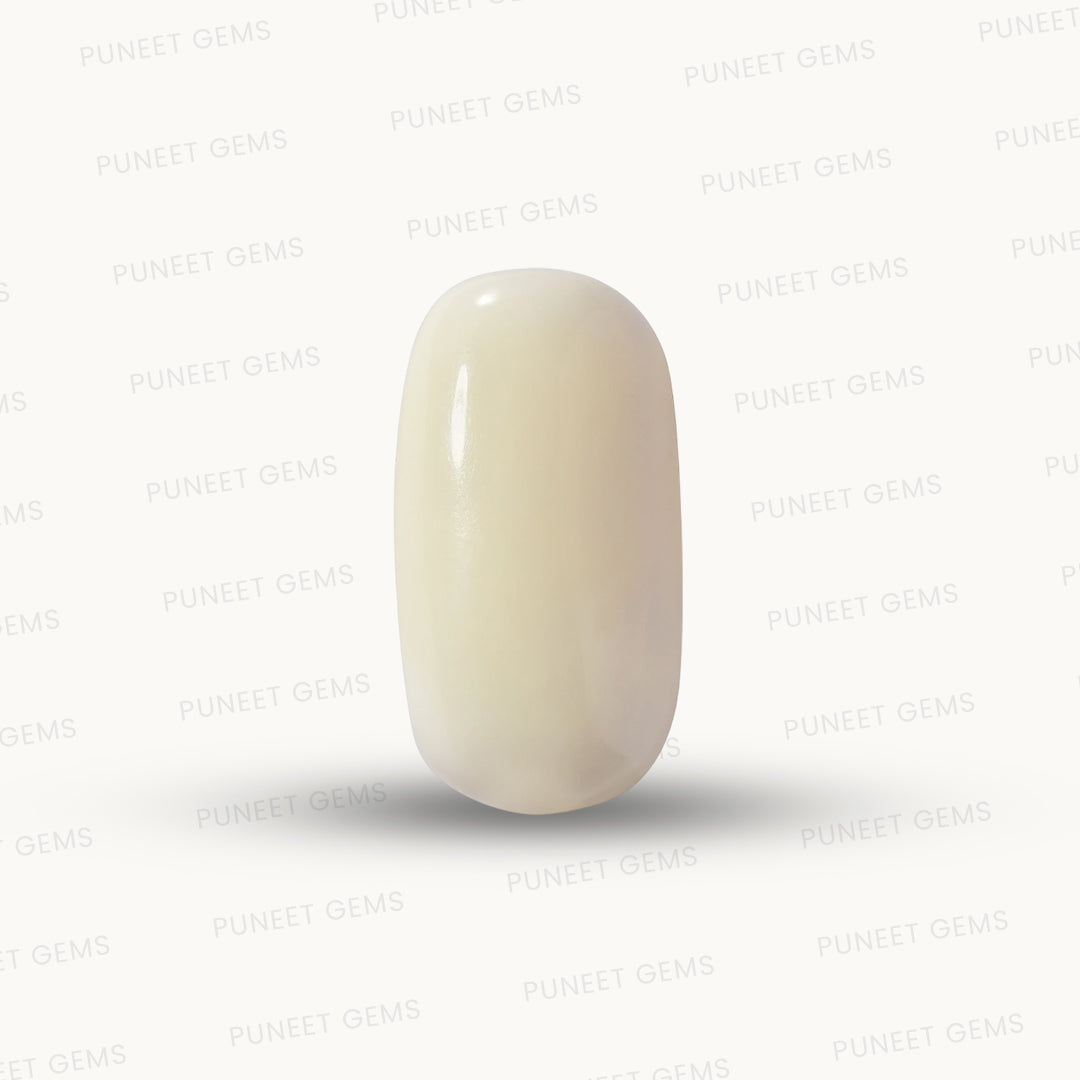 Natural White Coral Gemstone – The Gem of Strength, Vitality & Protection 7.56 CT