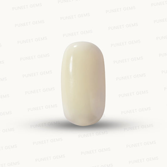 Natural White Coral Gemstone – The Gem of Strength, Vitality & Protection 7.56 CT