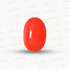 Red Coral Japanese – Natural Moonga for Strength 7.59 CT